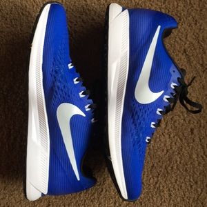 Nike Zoom Pegasus 34